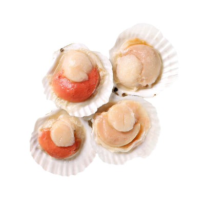 Frozen Half Shell Scallop with Roe [(8-9) 1Kg]-Taste Singapore